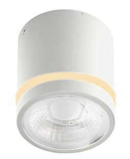 Точечный светильник для ванной Azzardo VICI IP44 12W CCT SWITCH WH AZ6040 AZ6040 фото