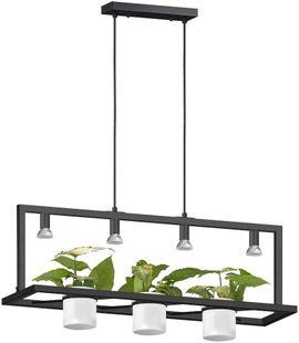 Люстра декоративна Zuma Line P0536-04B-P7AB Planter 33816 фото