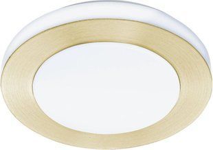 Стельовий світильник Eglo 900369 LED CARPI 31729 фото